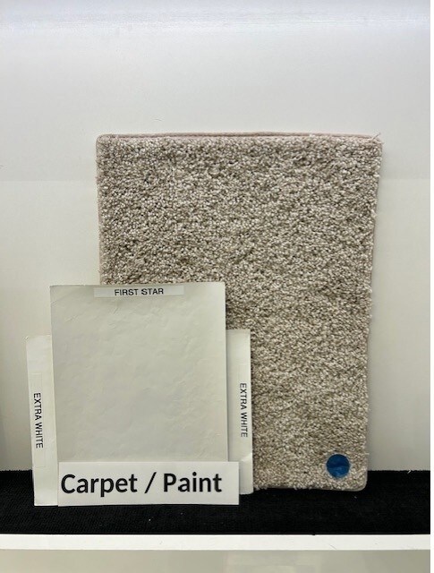 10930 Skyway Ln, Missouri City, TX 77459 - photo 7