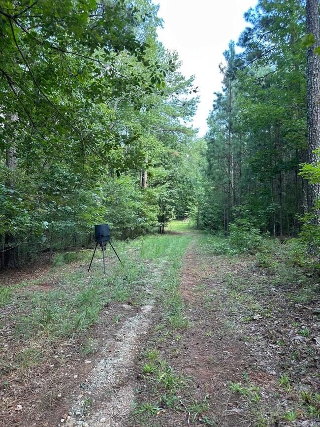 0 Fears Rd unit 69810, Madison, GA 30650 - photo 7