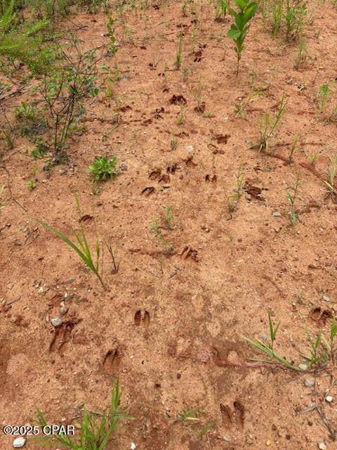 0 Pt Milligan Rd unit 778755, Quincy, FL o - photo 2