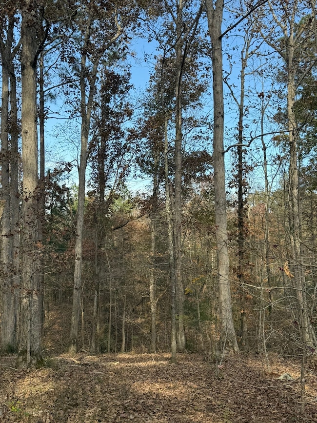 9654 State Road S-36-58, Kinards, SC 29355 - photo 2