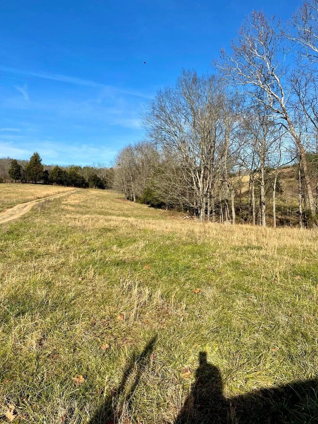 231 Highway 1003, Somerset, KY 42501 - photo 5