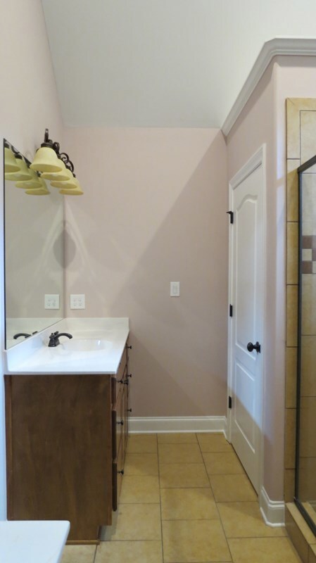 808 Smallwood Trace, Hampton, GA 30228 - photo 5