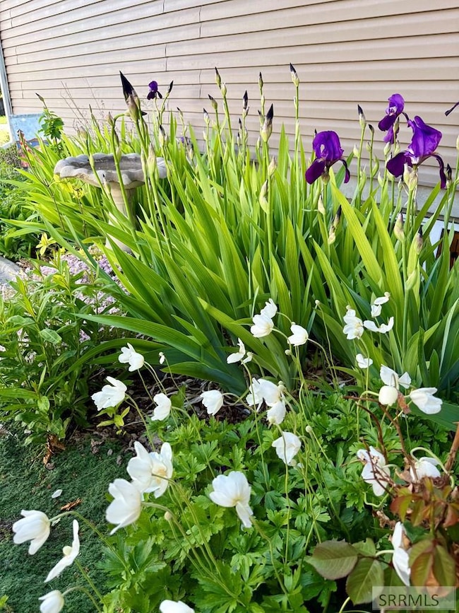 Mature Flower Beds