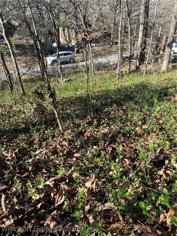 TBD Mockingbird Ln, Fort Smith, AR 72901 - photo 4