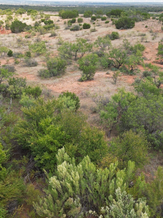 Tbd Fm 1086, Winters, TX 79567 - photo 7
