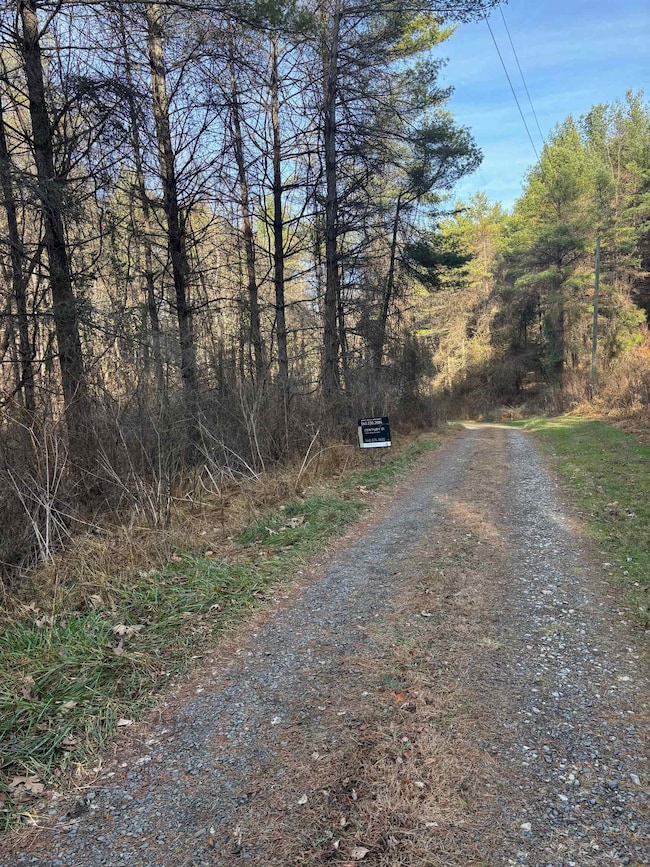 TBD Lot 75 Beaver Dam Dr, Austinville, VA 24312 - photo 2