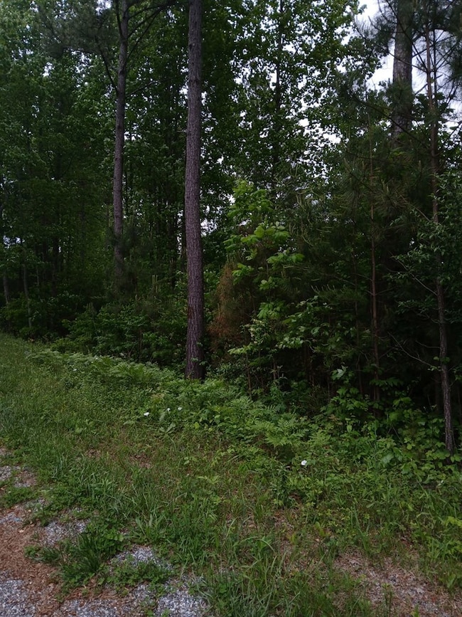 7.52 Ac. Hicks Ford Rd, Ellijay, GA 30540 - photo 2