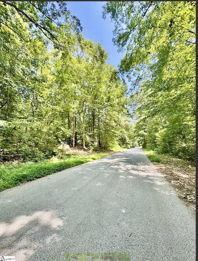 Lot B Adair Place, Laurens, SC 29360 - photo 4