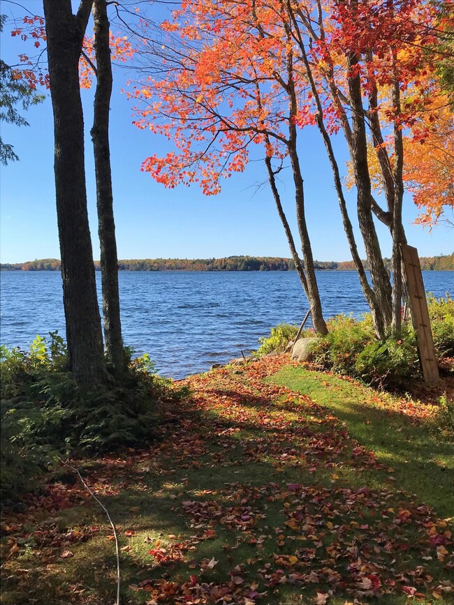 Autumn Lakefront 2