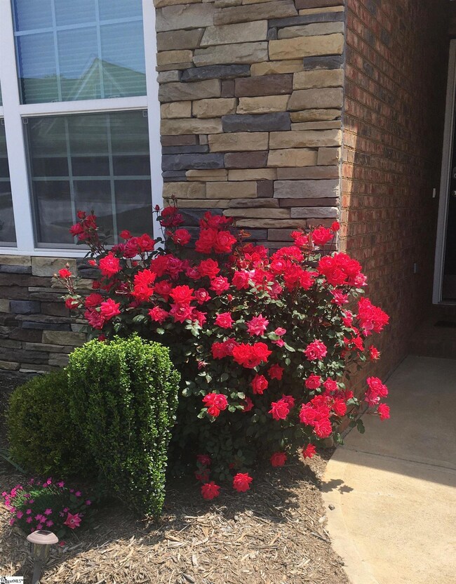 383 Amelia Springs Ln, Moore, SC 29369 - photo 4