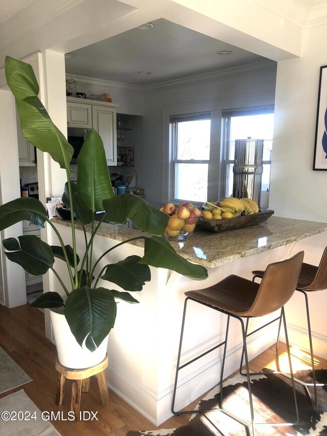 66 Locust St unit 2, Greenwich, CT 06830 - photo 5