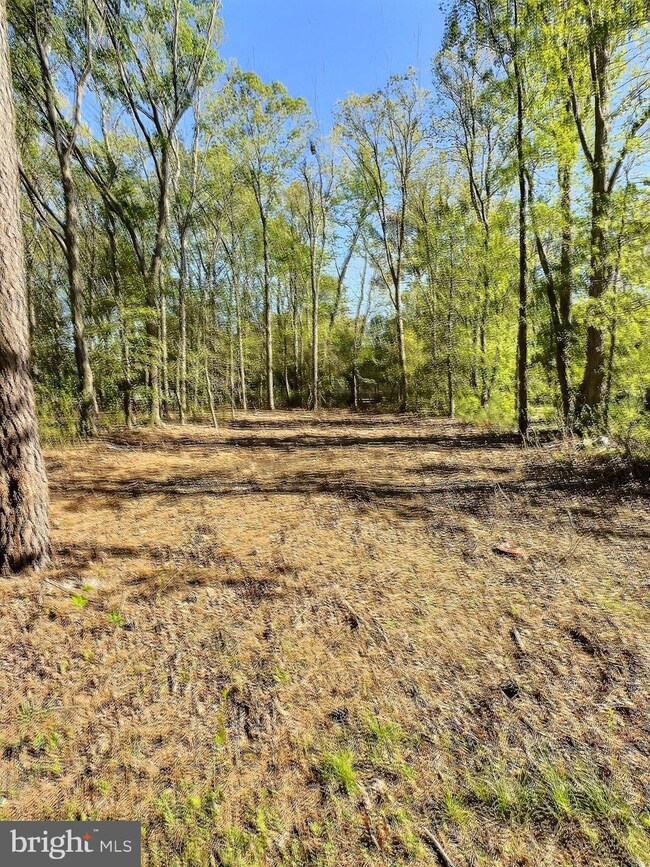 0 Shady Dell Park Birch unit DESU2100980, Frankford, DE 19939 - photo 6