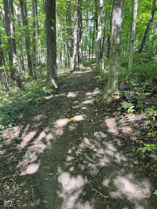 29 Point Ln, Arcadia, IN 46030 - photo 6