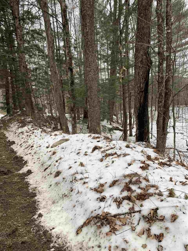 Lot 2 Cheever Rd, Wentworth, NH 03282 - photo 2
