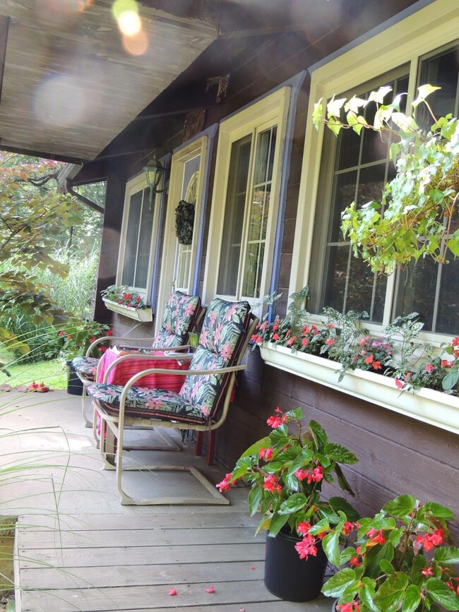 Camp Cabin 2