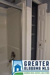 Tub/Shower and Linen Closet