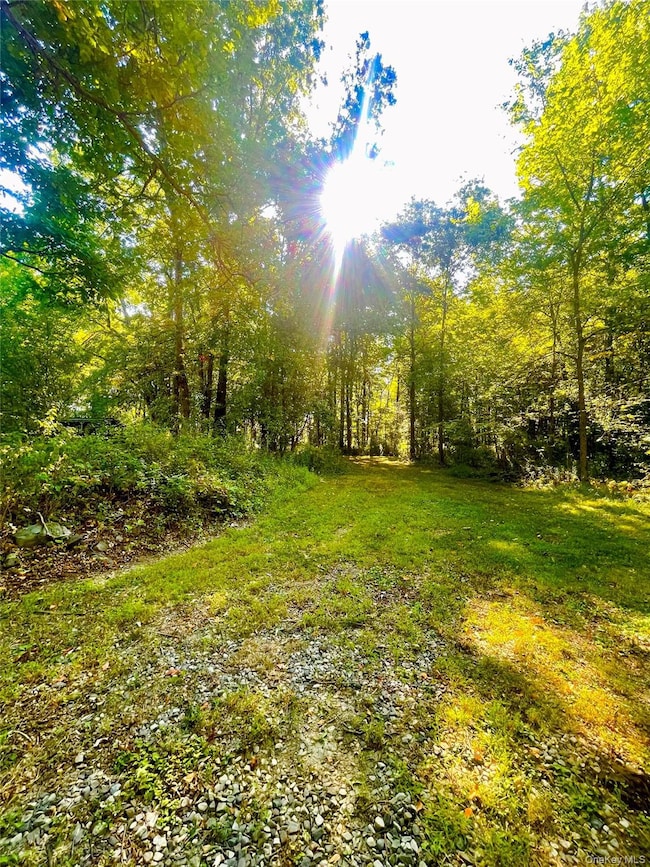 TBD Bull Rd, New Windsor, NY 10992 - photo 4