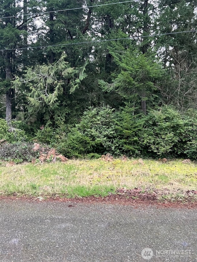 8615 Eckenstam Johnson Rd, Anderson Island, WA 98303 - photo 2