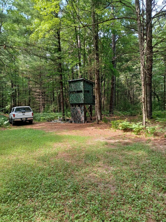 1 River Rd, Brethren, MI 49619 - photo 5