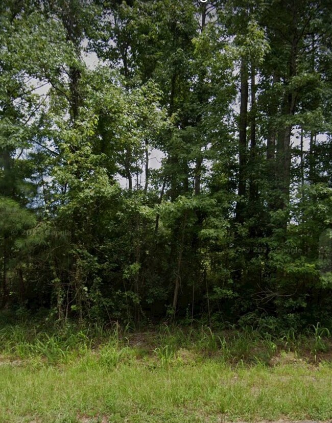 0 Hwys 301 & S-38-82 70 09910024 unit 11418779, Santee, SC 29142 - photo 6