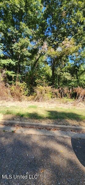 1106 Lakeshore Dr, Southaven, MS 38671 - photo 4