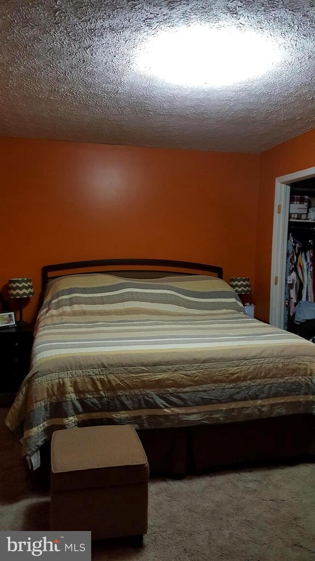 113 Greenleaf Rd, Strasburg, VA 22657 - photo 6