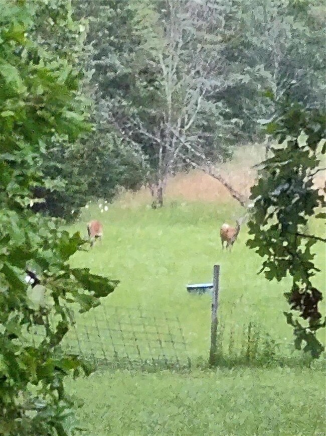 12304 County Road 8010, Rolla, MO 65401 - photo 3