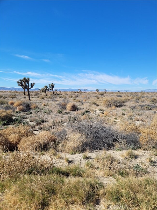 0 20th St E unit HD25028073, Lancaster, CA 93535 - photo 3