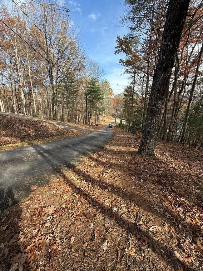 12 N Ridge Dr, Ellijay, GA 30540 - photo 5