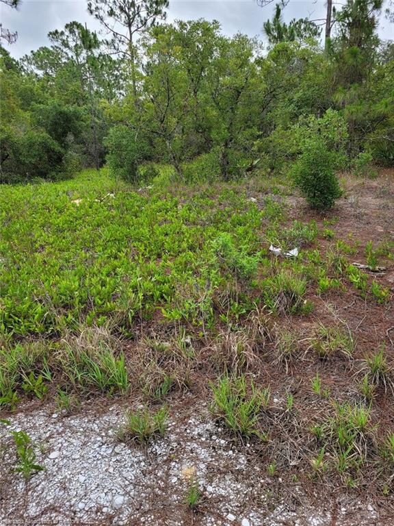 215 Fascination Dr, Lake Placid, FL 33852 - photo 2