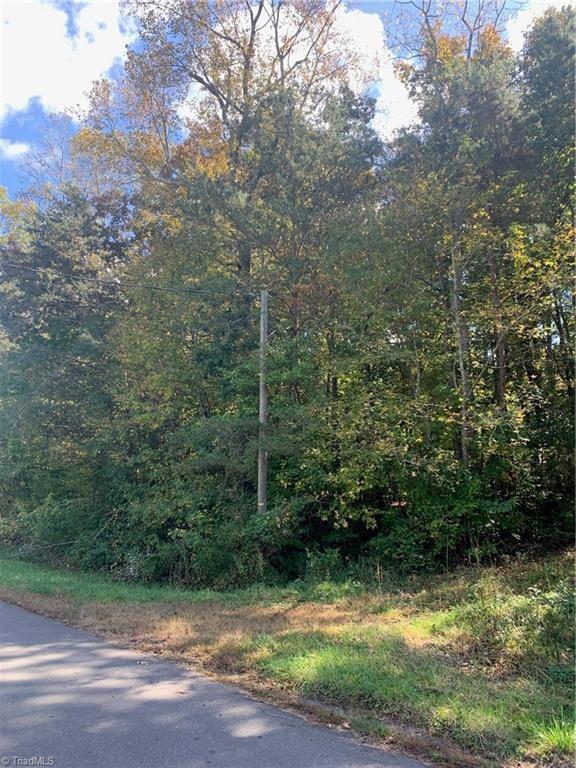 0 Jennifer View Dr unit 999299, Grant, NC 27205 - photo 7