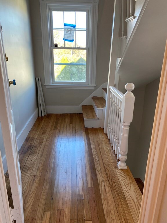 6 Primrose St unit 3, Roslindale, MA 02131 - photo 6