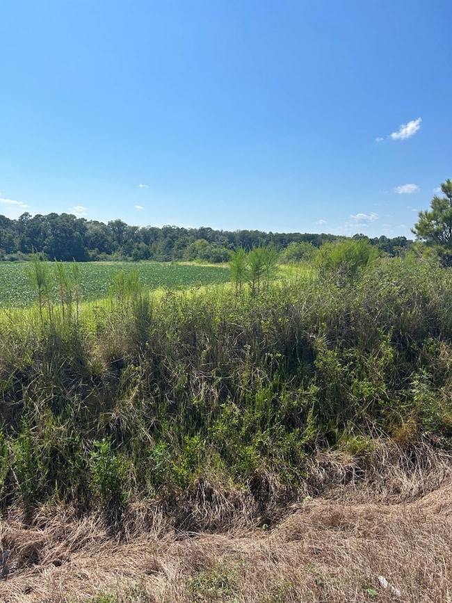 1831 Hooper Cherry Rd, Dothan, AL 36301 - photo 5