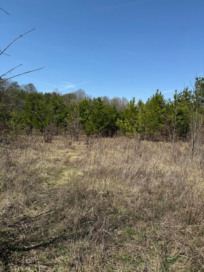 0 S Amhurst Place unit RTC3051683, Englewood, TN 37329 - photo 7