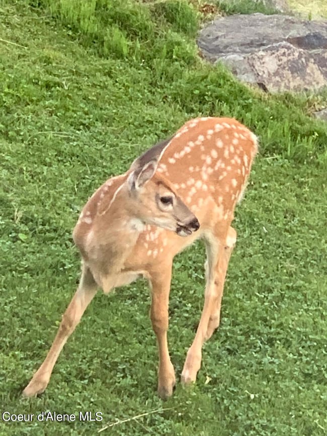 L2 B4 S Kula Rd, Harrison, ID 83833 - photo 4