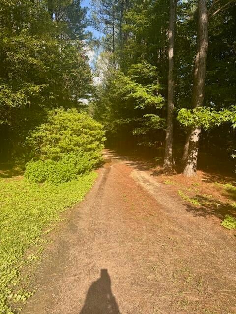 195 Ticky Bend Rd, Eupora, MS 39744 - photo 3