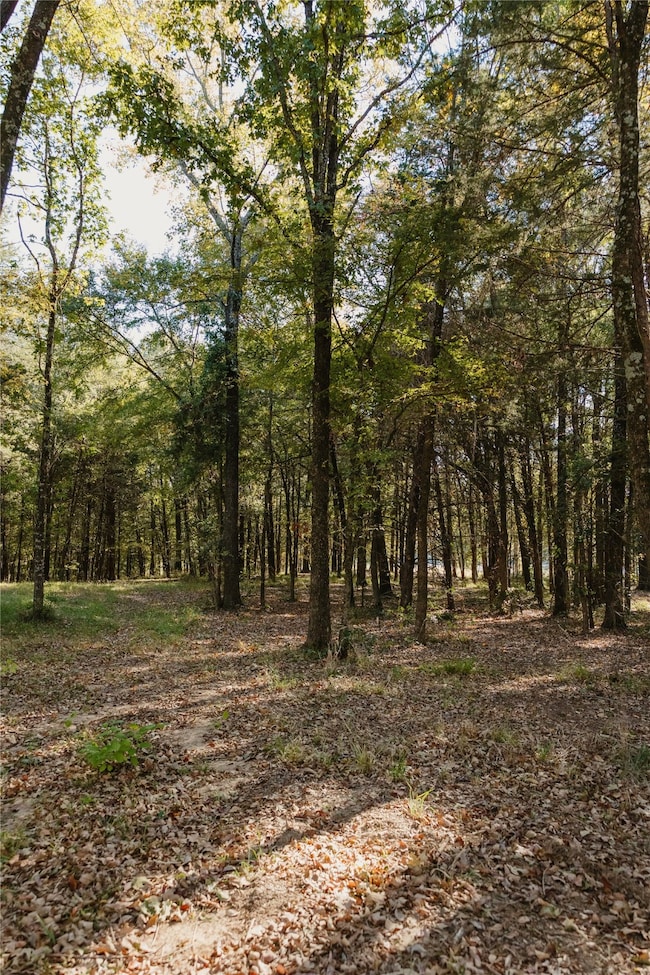 Lot 16 Private Road 5948, Yantis, TX 75497 - photo 7