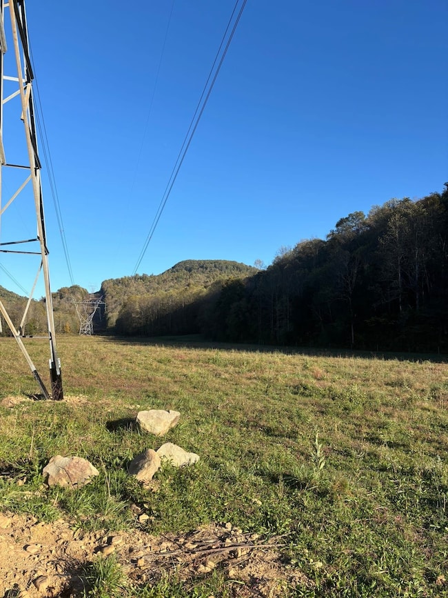 0 Calfkiller Hwy unit 25393188, Monterey, TN 38574 - photo 3