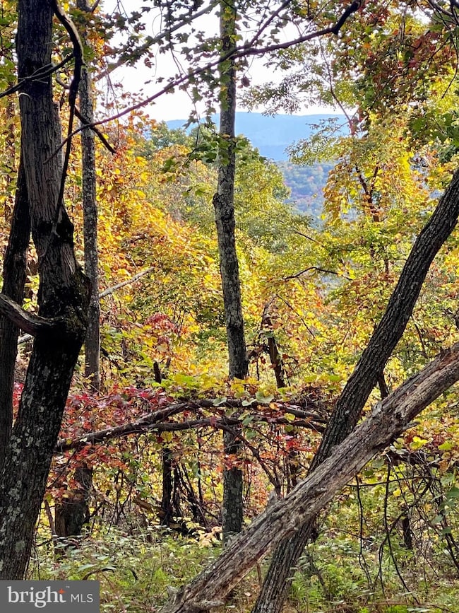 10 Top of the Mountain, Moorefield, WV 26836 - photo 2