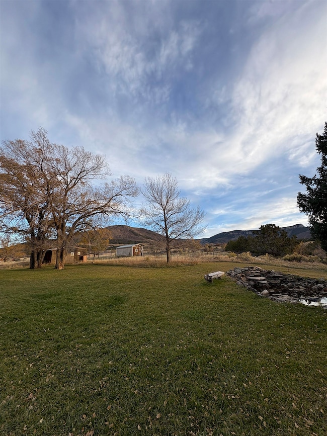 245 County Road 338, Parachute, CO 81635 - photo 3