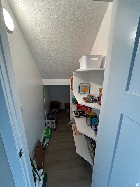 Understairs pantry storage