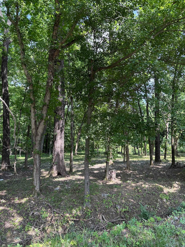 View of undeveloped land