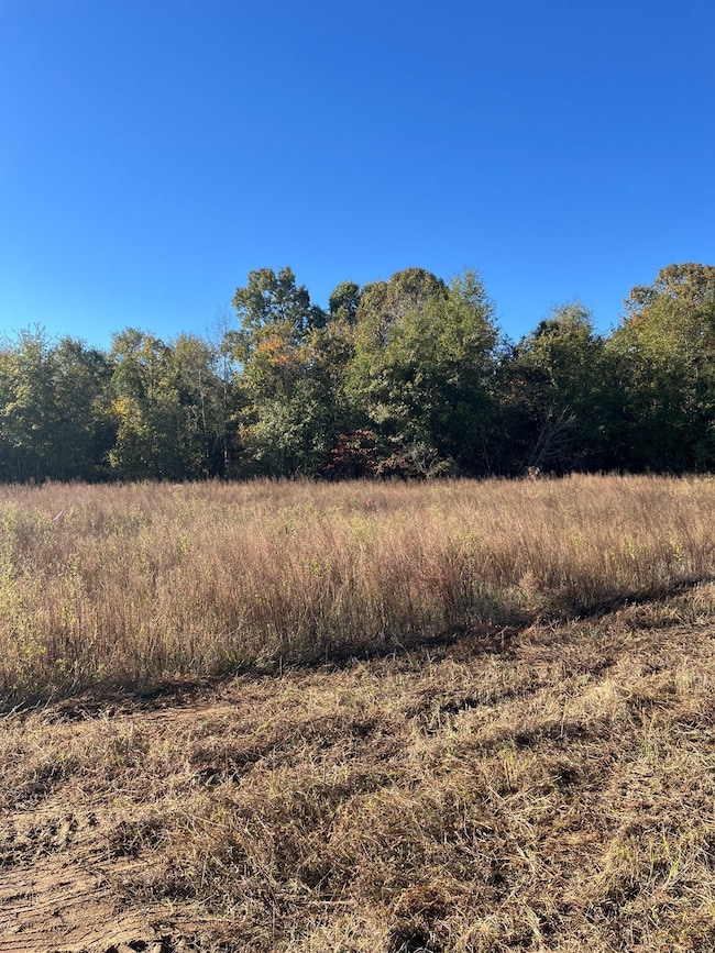 Bhl 1 Boise Cascade Rd, Bethune, SC 29009 - photo 5