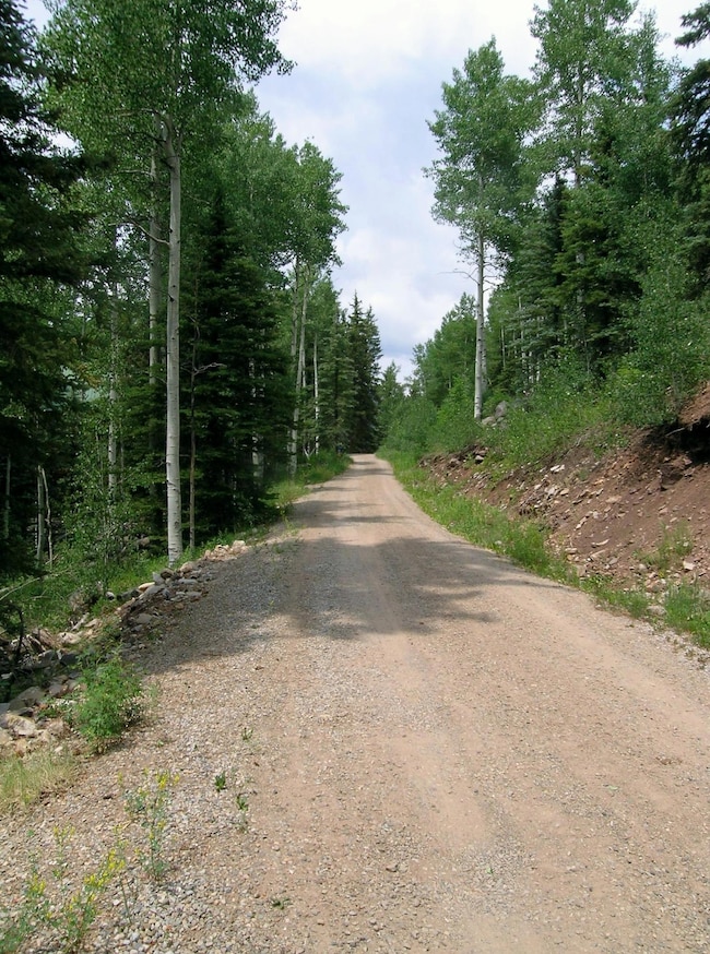 0 S Silver St unit 44030, Rico, CO 81332 - photo 4