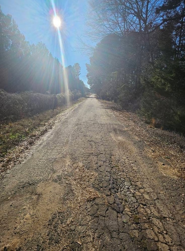 152 County Road 4247, Pittsburg, TX 75686 - photo 4