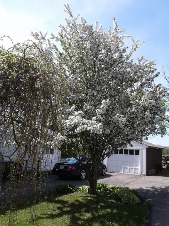 71 N Park St, Franklin, MA 02038 - photo 4