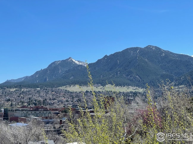 South facing side yard