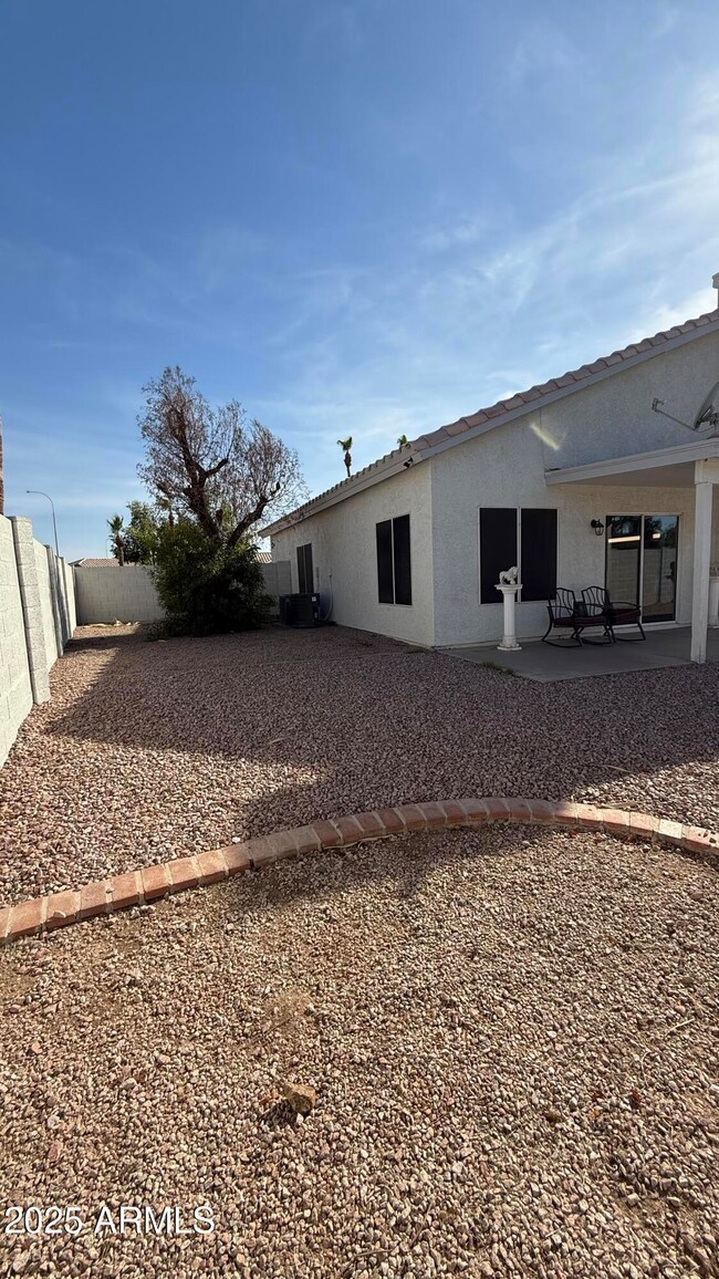 Backyard side 2