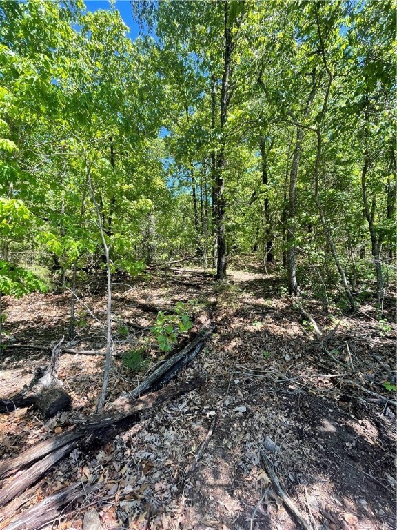 0 Boswell Cir, Bella Vista, AR 72715 - photo 2