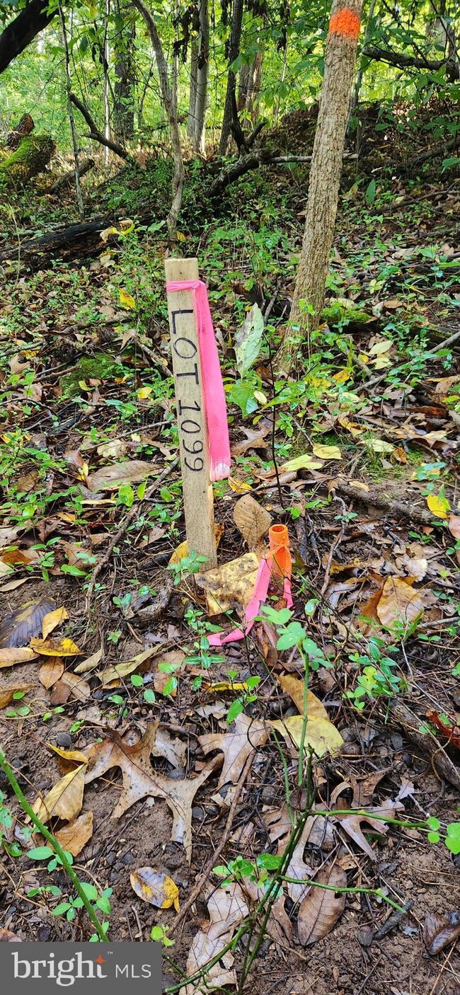 0 Wilson Ln unit VAWR2009114, Front Royal, VA 22630 - photo 6